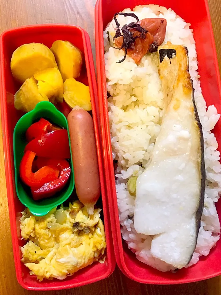 今日のお弁当#安納芋 #タラの塩焼き #自家製梅干し #オムレツ #あらびきウィンナー #パプリカのマリネ|料理家めーらさん