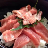 マグロ三色丼😋 本マグロ赤身、中トロ、大トロ トロは口の中でとろけました（笑） 旭川の居酒屋海幸にて。|binchanさん