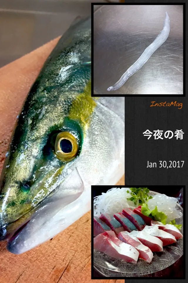 今夜の肴🐟
【つばす･のれそれ】|じゅごんさん