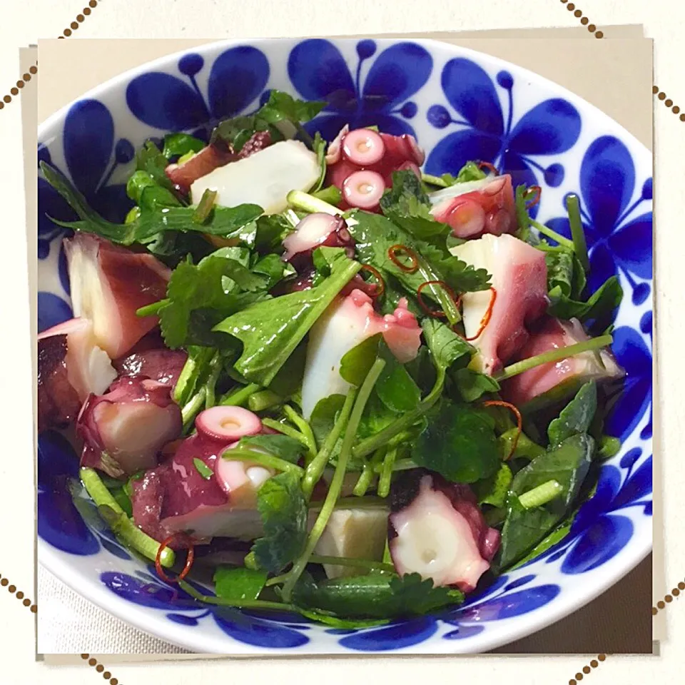 チョッパー＆ホヌさんの料理 香り野菜と蛸のレモンサラダ🌿🍃🐙🍋
酒のツマミに😁✌🏼️|ロコタンさん