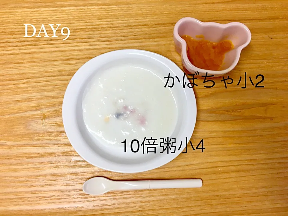 DAY9 離乳食初期 #pianokittybabyfood|離乳食完了期 1歳さん