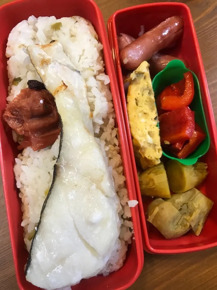 Snapdishの料理写真:今日のお弁当#かぶの葉ごはん#自家製梅干し #塩焼きタラ #あらびきウィンナー #パプリカのマリネ #安納芋 #玉ねぎと椎茸のオムレツ|料理家めーらさん