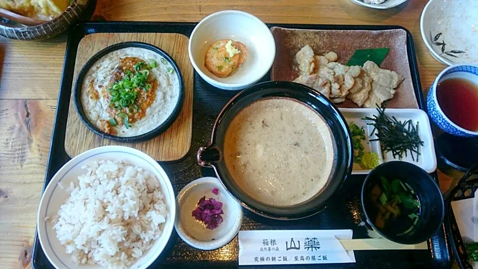 Snapdishの料理写真:箱根 山藥  自然薯定食|EYERINさん