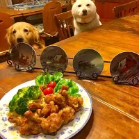 チューリップ鶏肉の竜田揚げ🍀
匂いだけ〜🐶🐶😆