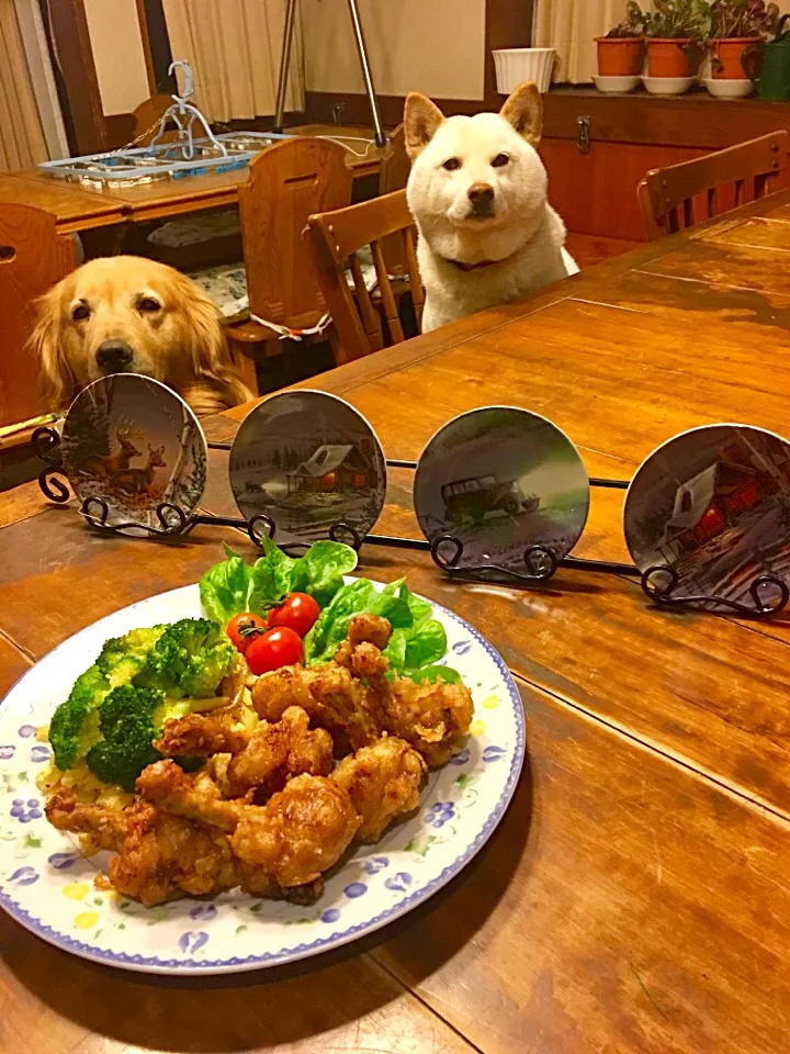 Snapdishの料理写真:チューリップ鶏肉の竜田揚げ🍀
匂いだけ〜🐶🐶😆|きゅうちゃんさん