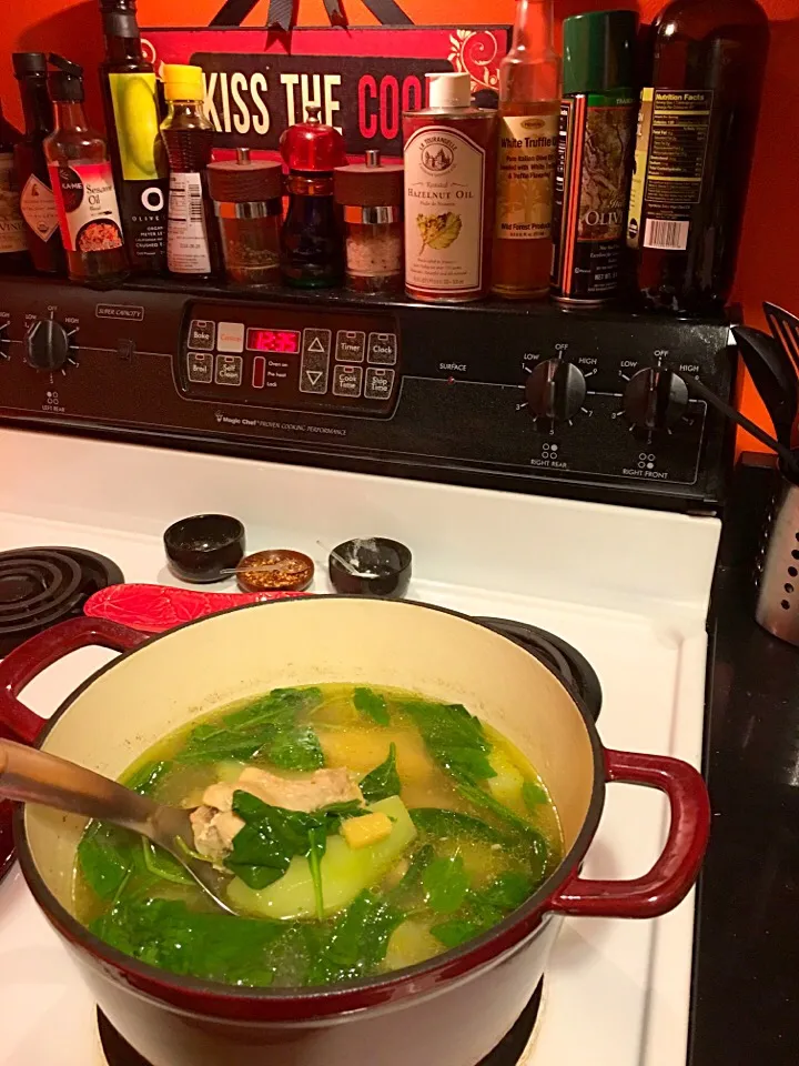 Snapdishの料理写真:Ginger chicken soup with spinach & chayote #tinola #goodforcoldweather #winter #snowday|🌺IAnneさん