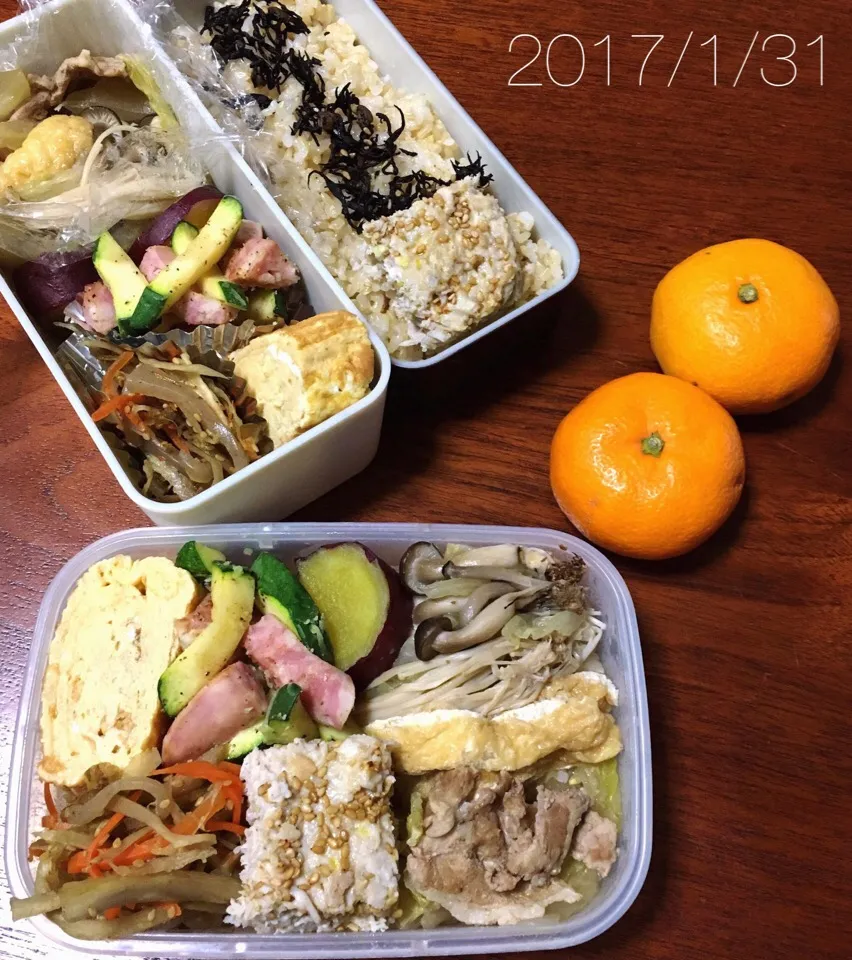 1/31 お弁当|もっちさん