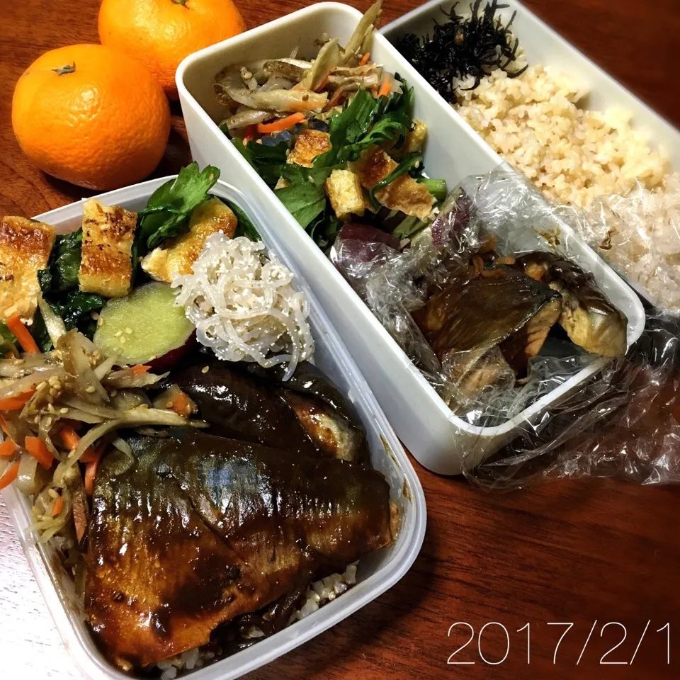 2/1お弁当|もっちさん