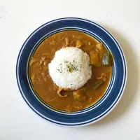 Snapdishの料理写真:白菜カレー|Minaskitchenさん