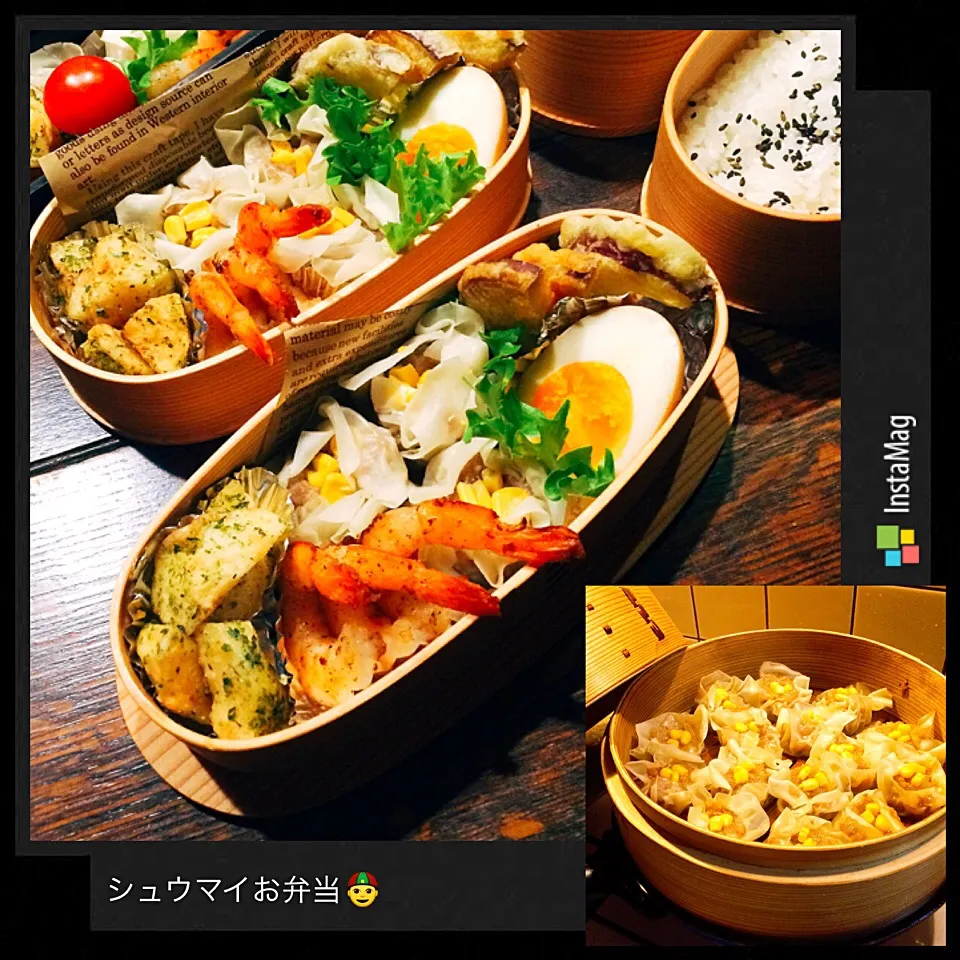 Snapdishの料理写真:∮ お父さん、高校男子✖️2  👲シュウマイお弁当(*^o^*)/  2017.02.03   フライパンで✰簡単✰彡シュウマイ ∮ by 矢切のねぎちゃん|カンカンさん