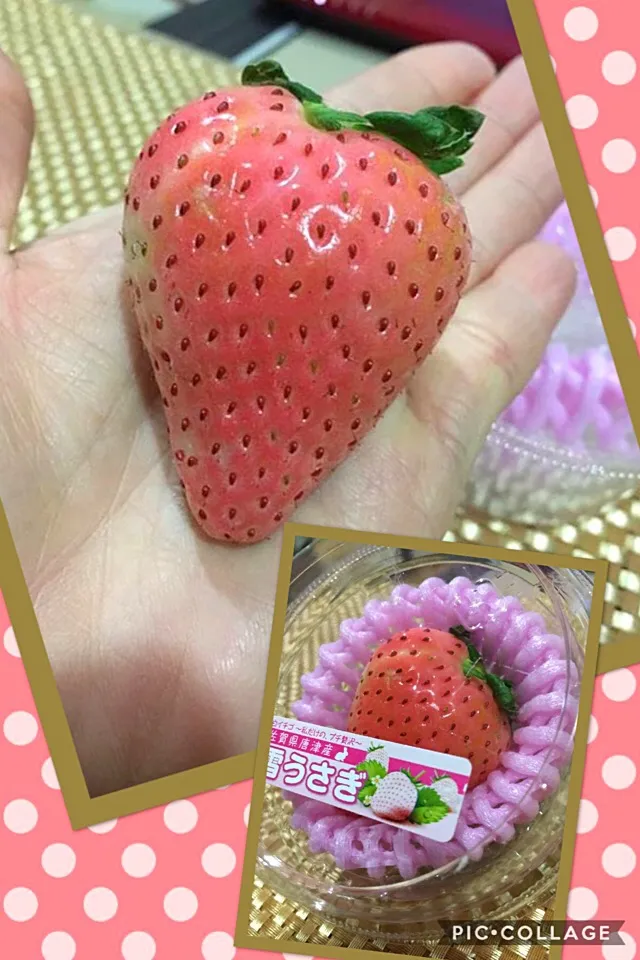 佐賀県産 雪うさぎ
ひと粒売りのイチゴちゃん🍓|🌿ぴぴさん