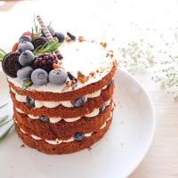 ココアのネイキッドケーキ