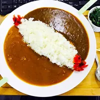 Snapdishの料理写真:サンプル二色カレー|崔鐘徳さん