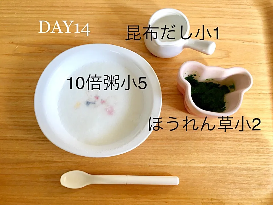 DAY14 離乳食初期 #pianokittybabyfood|離乳食完了期 1歳さん