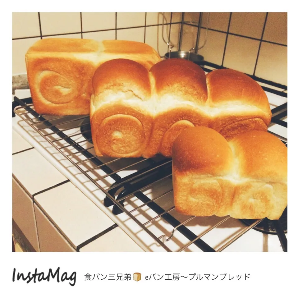 食パン三兄弟🍞🍞🍞e－パン工房〜プルマンブレッドのレシピより✨|カンカンさん