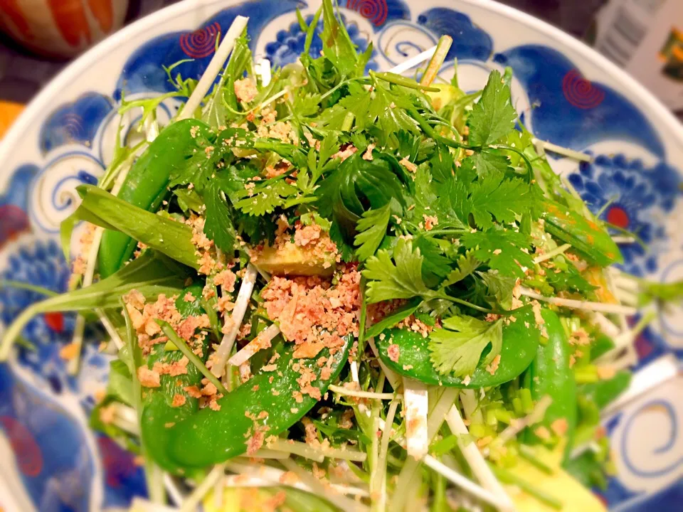 Snapdishの料理写真:サラダ🥗
#パクチー #スナップエンドウ #水菜 #アボカド|doc3387さん