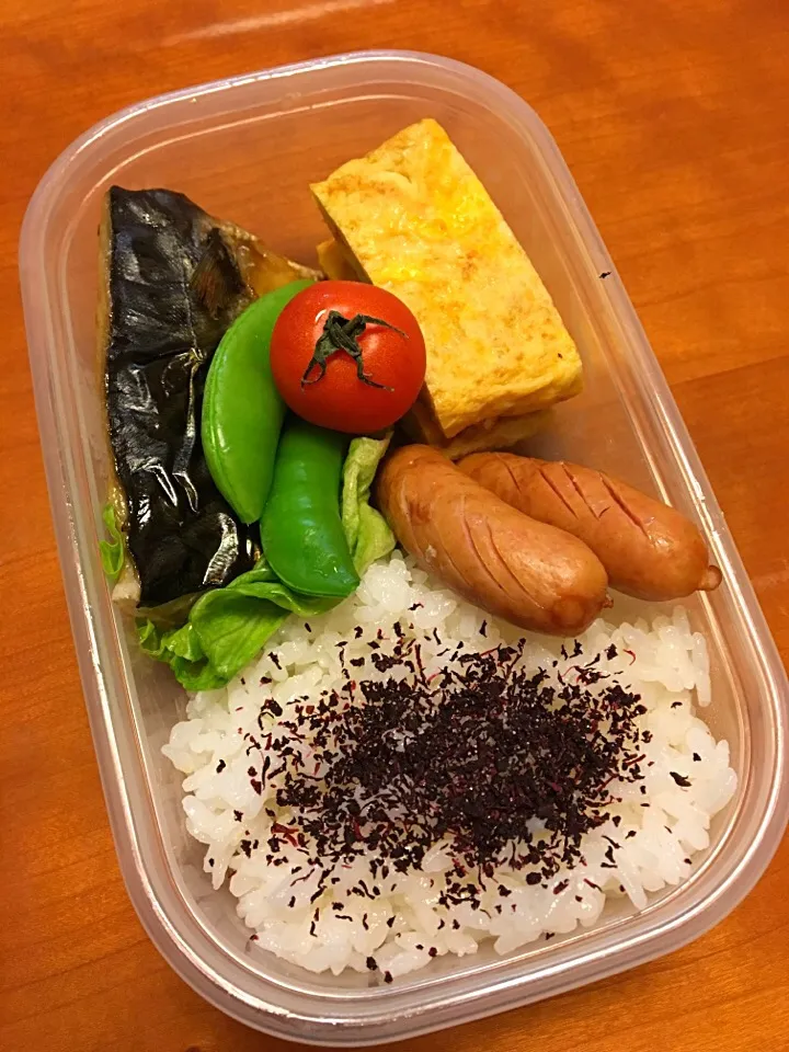 Snapdishの料理写真:2月6日  お嬢弁当🎶
焼塩サバ  たまご焼き  ウィンナー  スナップエンドウ  プチトマト‼️|みゆさん