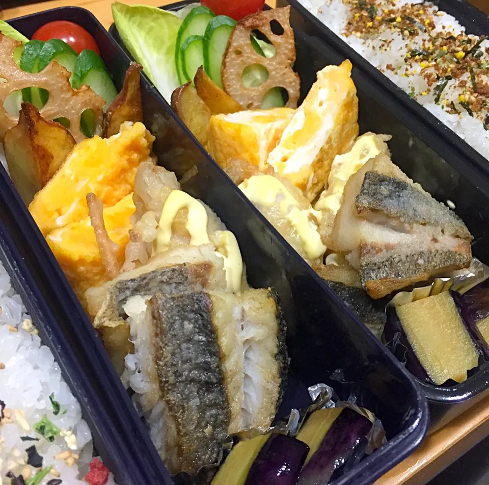 Snapdishの料理写真:今日の親父弁当！|沖縄「ピロピロ」ライフさん