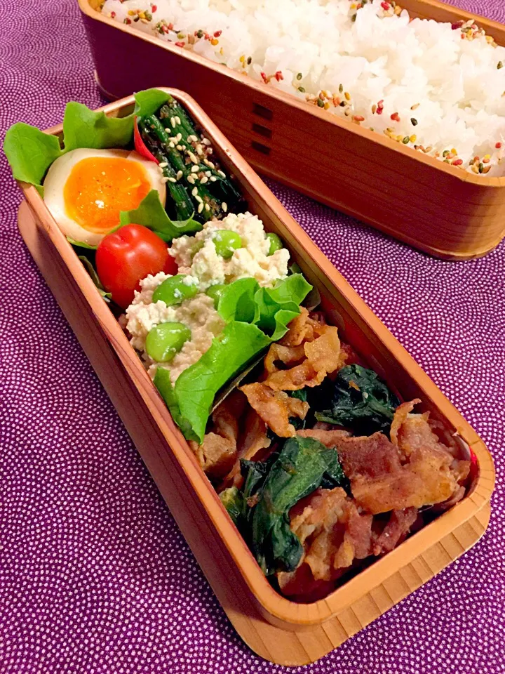 豚肉と小松菜の生姜炒め弁当🐷|udomegu☆さん