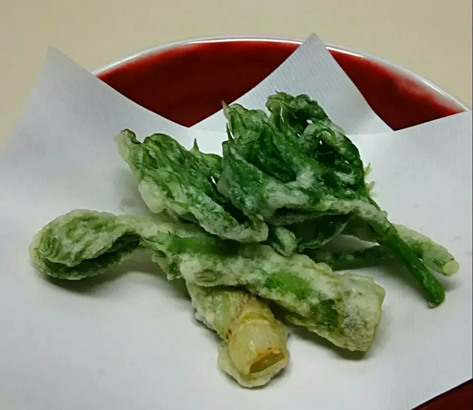 Snapdishの料理写真:山独活の天ぷら🌿|あらいぐまのしっぽさん