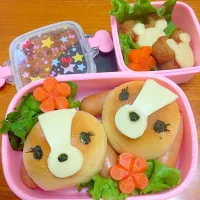 レディのお弁当❤︎|宮崎美里さん