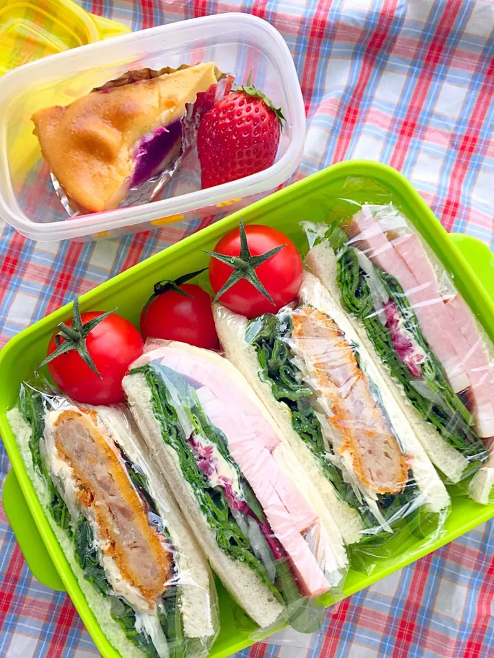 お父さんのサンドイッチ弁当
#ベイクドチーズケーキ 
#お父さん弁当 
#萌え断 
#サンドイッチ|Blueberry🫐さん