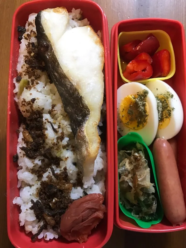 ひさしぶりの今日のお弁当#錦松梅#焼き塩たら#自家製梅干し #パプリカのマリネ#茹で玉子のバジルソースかけ#ほうれん草のおひたし #あらびきウィンナー|料理家めーらさん