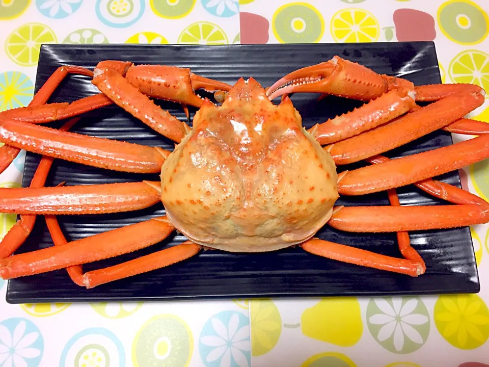 🦀かに🦀|nacchan♪さん