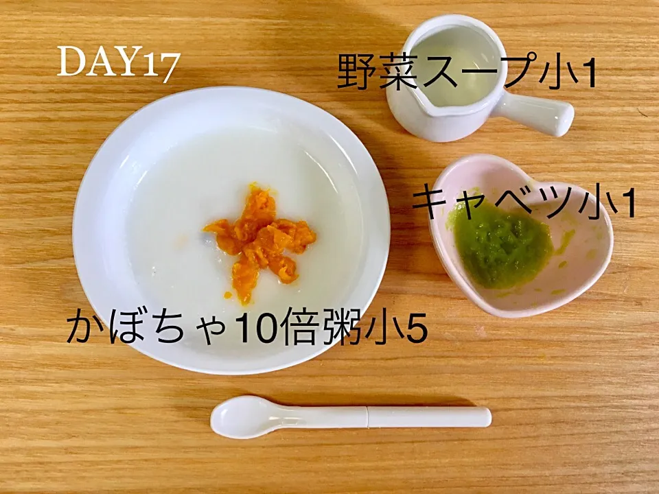 DAY17 離乳食初期 #pianokittybabyfood|離乳食完了期 1歳さん