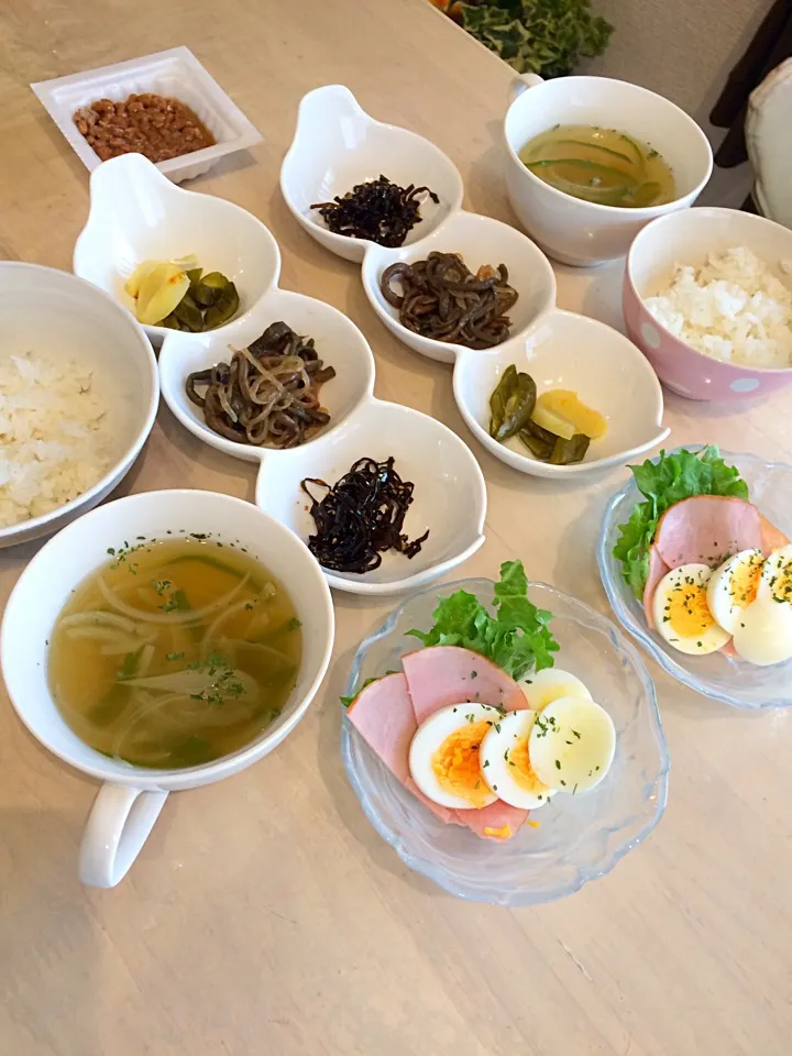 今日の朝食だよ〜
2017/02/08|Booパパさん