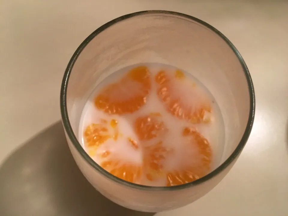 Milk jello with mandarins|Keicsさん