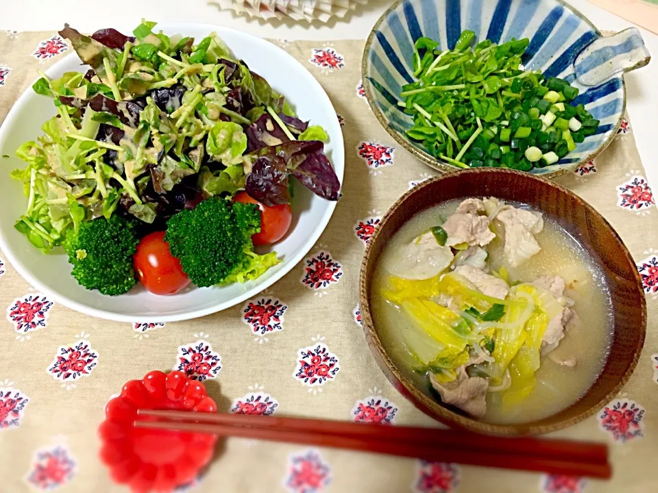 野菜たっぷりメニュー☘豚汁には小ネギと豆苗をたっぷり入れて頂きます🤗|禄 恵さん