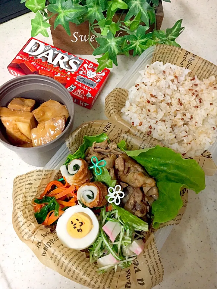 Snapdishの料理写真:高校男子弁当🏉
＊豚の角煮
＊焼肉
＊ゆで卵
＊人参とほうれん草のおひたし
＊紫蘇竹輪|emisanさん