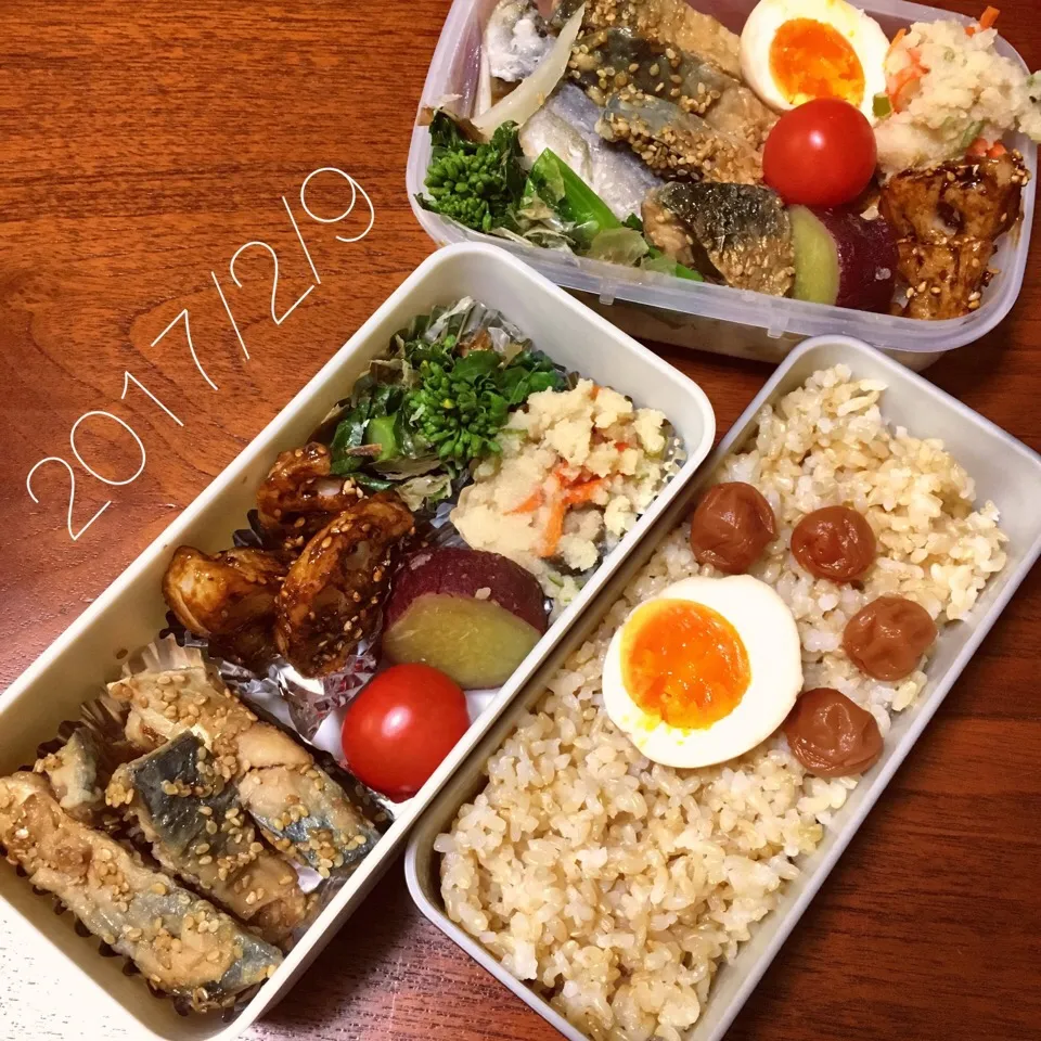 Snapdishの料理写真:2/9 お弁当|もっちさん