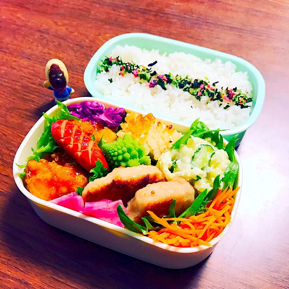 Snapdishの料理写真:2017. 2. 9 thu ☁︎
 今日の娘さん弁当😋|かずちんさん