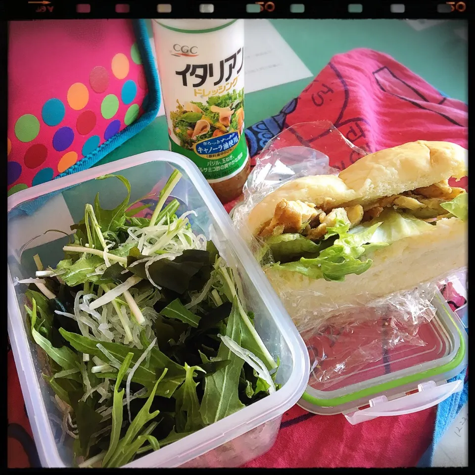 Snapdishの料理写真:#お弁当 #おひるごはん 

野菜サラダ🥗と、チキンハーブソテーサンド🌿|renharuruさん