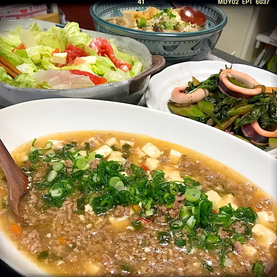 麻婆豆腐&副菜いろいろ|ロック♪さん