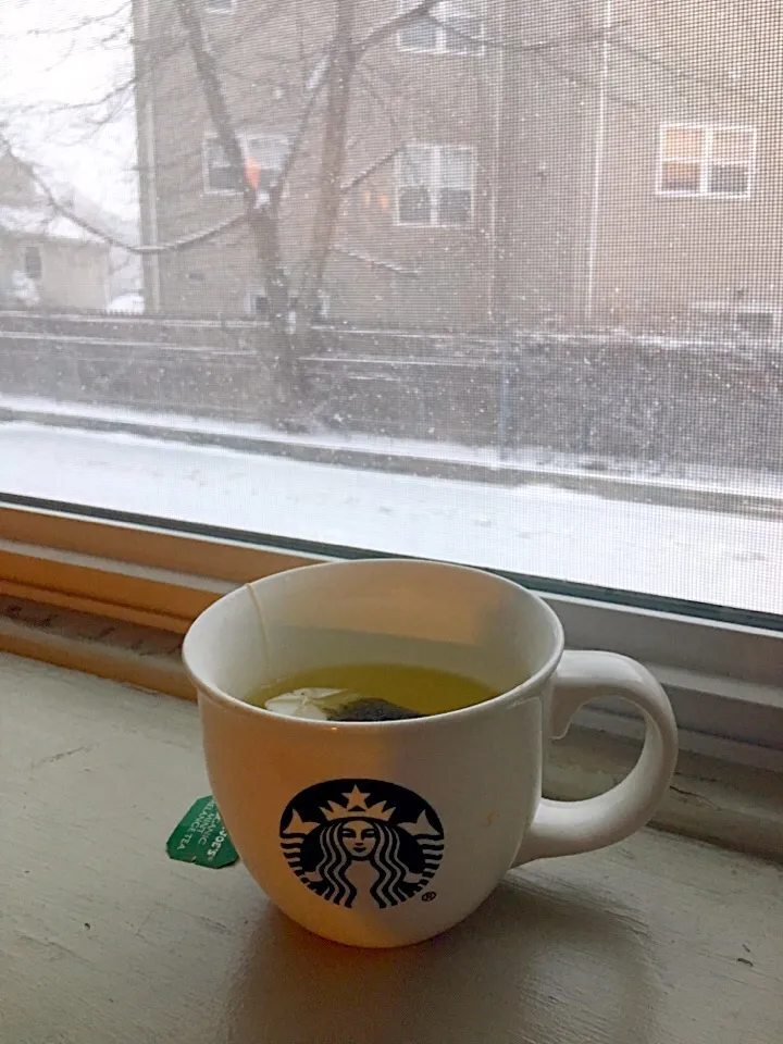 Enjoying a hot green tea on snow day in #NY #blizzard2/2017|🌺IAnneさん