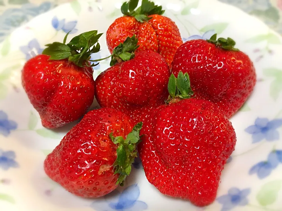 Snapdishの料理写真:🍓あまおう🍓|ゆうじ.さん