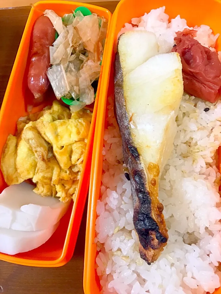 溜まった今日のお弁当#あらびきウィンナー #沖縄かまぼこ#焼き塩たら #自家製梅干し #ほうれん草のおかかポン酢#玉子１個オムレツ|料理家めーらさん