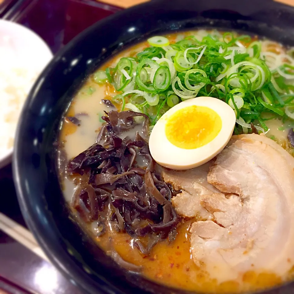 Snapdishの料理写真:熊本ラーメン|MONさん