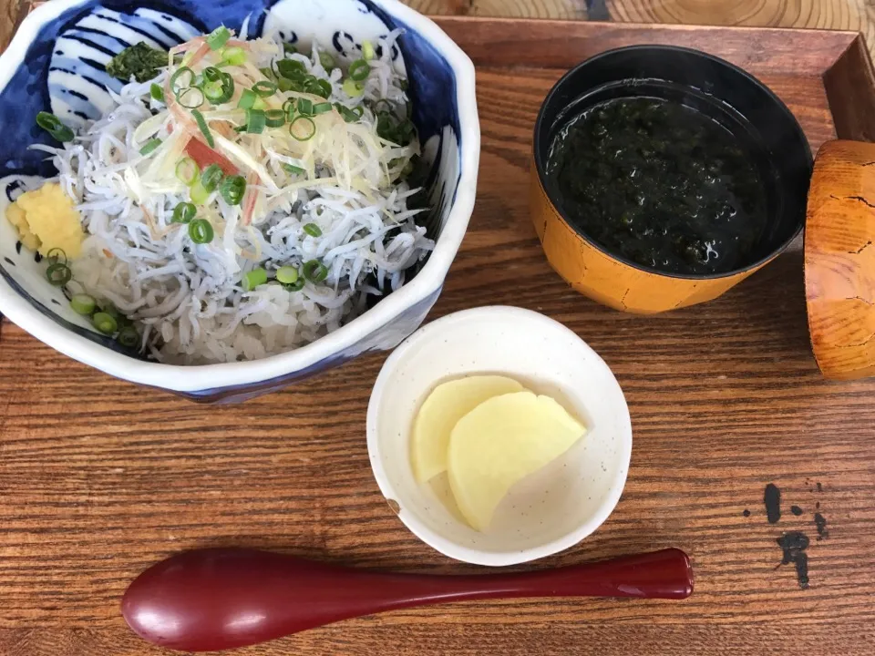 Snapdishの料理写真:しらす丼|お家でbar!さん