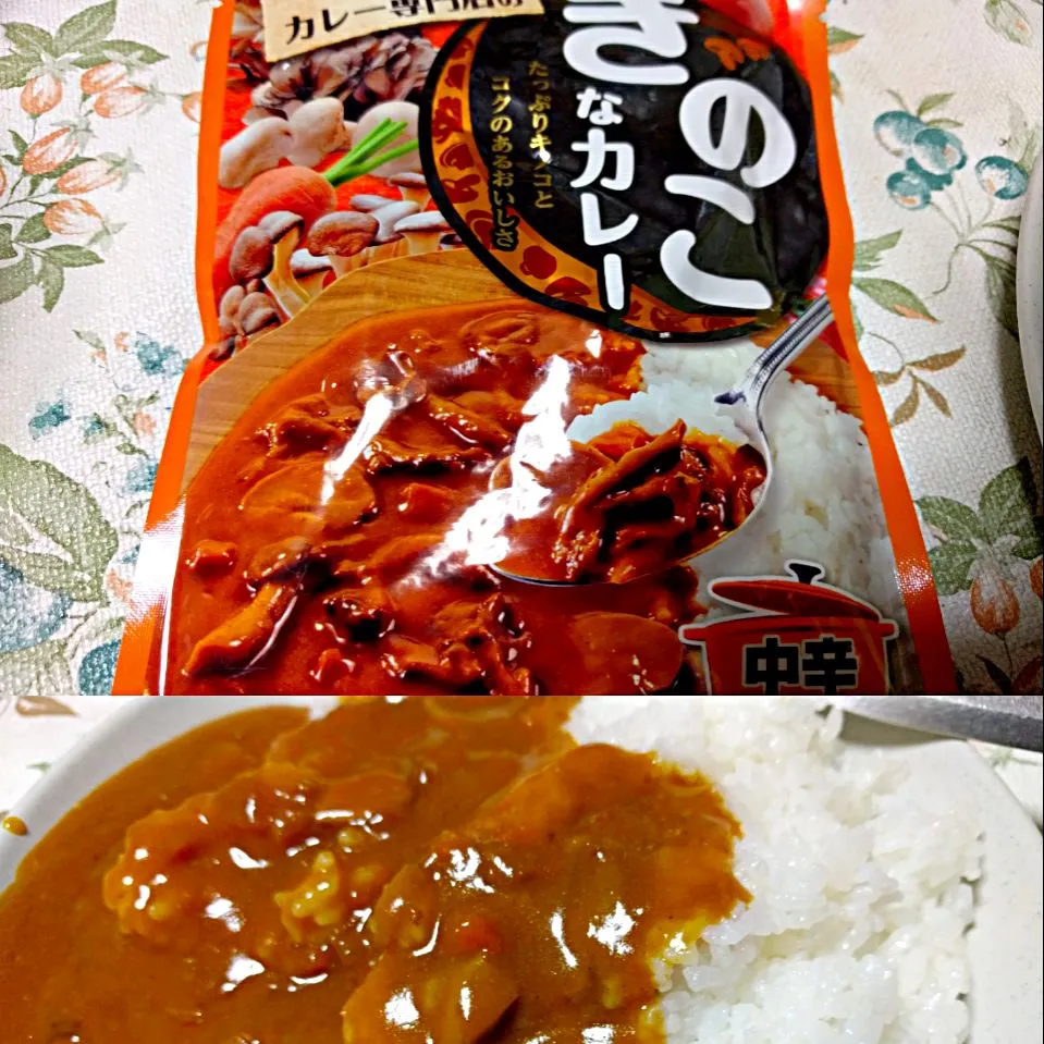 HACHI きのこなカレー 中辛 ハチ食品
 #きのこ #カレー #カレーライス|sakumaさん