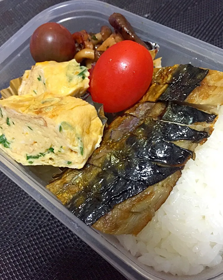 Snapdishの料理写真:鯖焼きお弁当|sayoさん