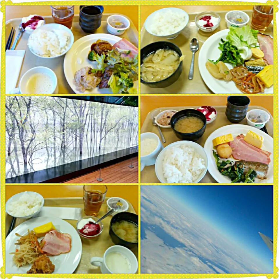 2/11 businesse trip (hotel's breakfast and SONY headquarter)|タップダンスシチーさん