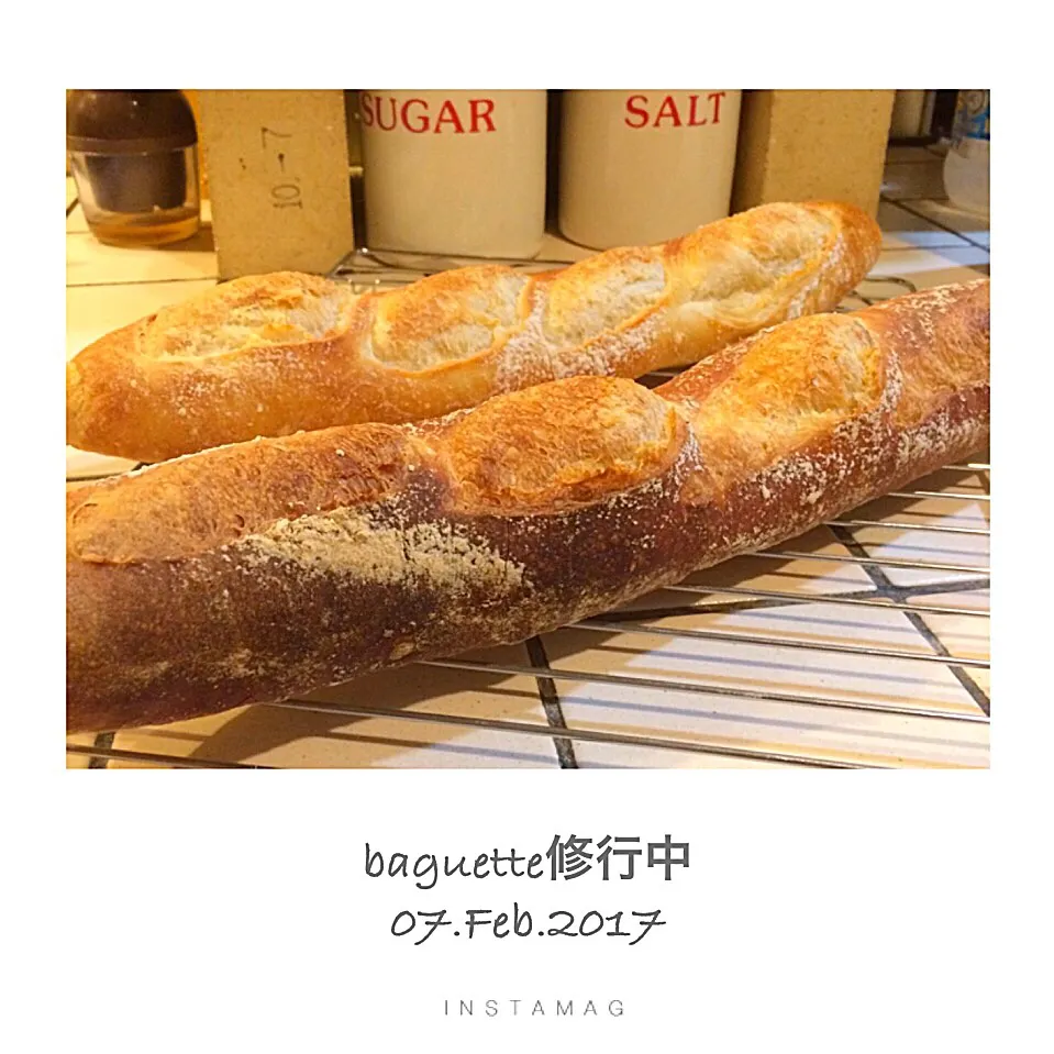 Snapdishの料理写真:baguette修行beginner's編   足踏み。。。

#バゲット #ハードブレッド#初心者でも簡単に作れる料理|カンカンさん