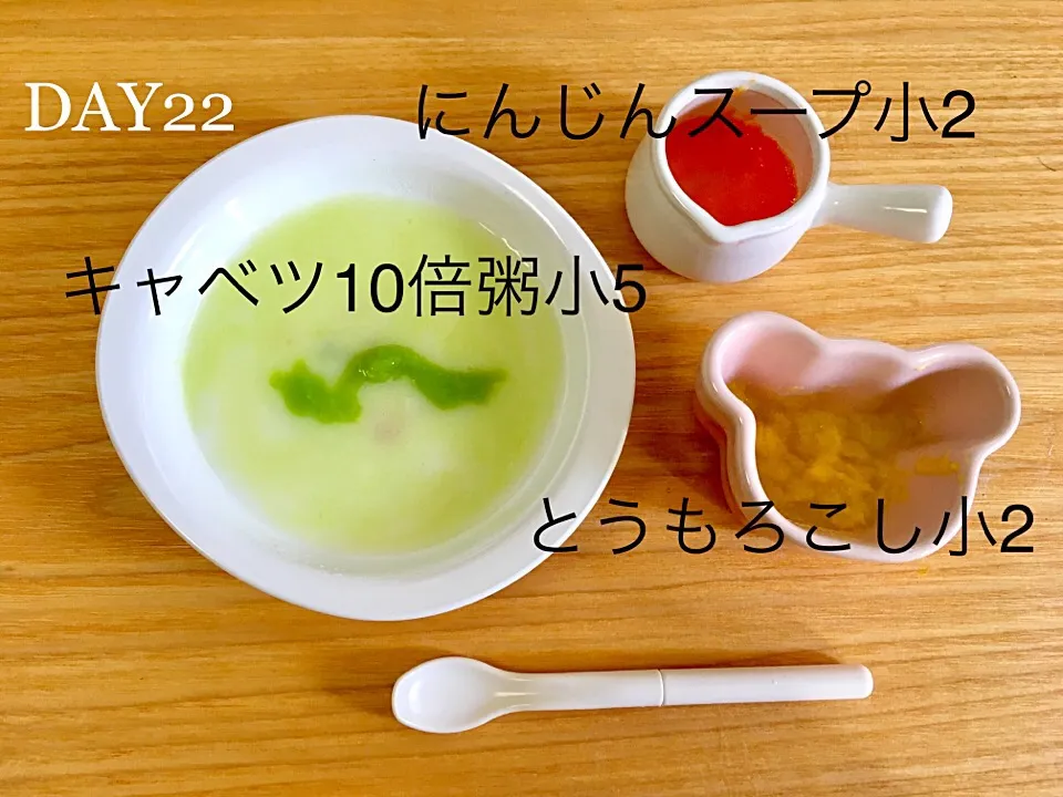 DAY22 離乳食初期 #pianokittybabyfood|離乳食完了期 1歳さん