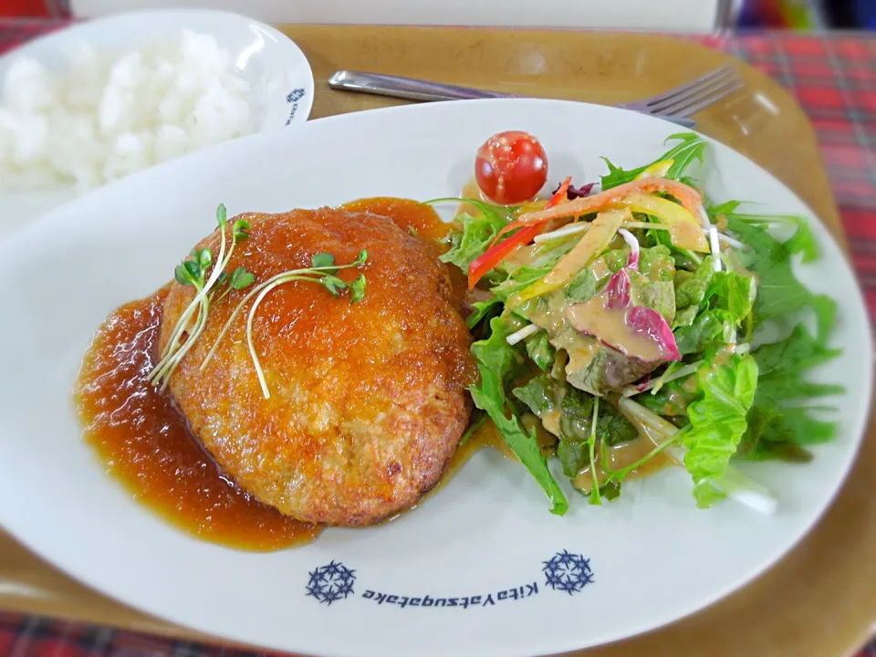 ピラタス蓼科
豆腐ハンバーグ ３００g|Takeshi  Nagakiさん