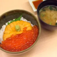 Snapdishの料理写真:うに いくら丼|りょうえいさん