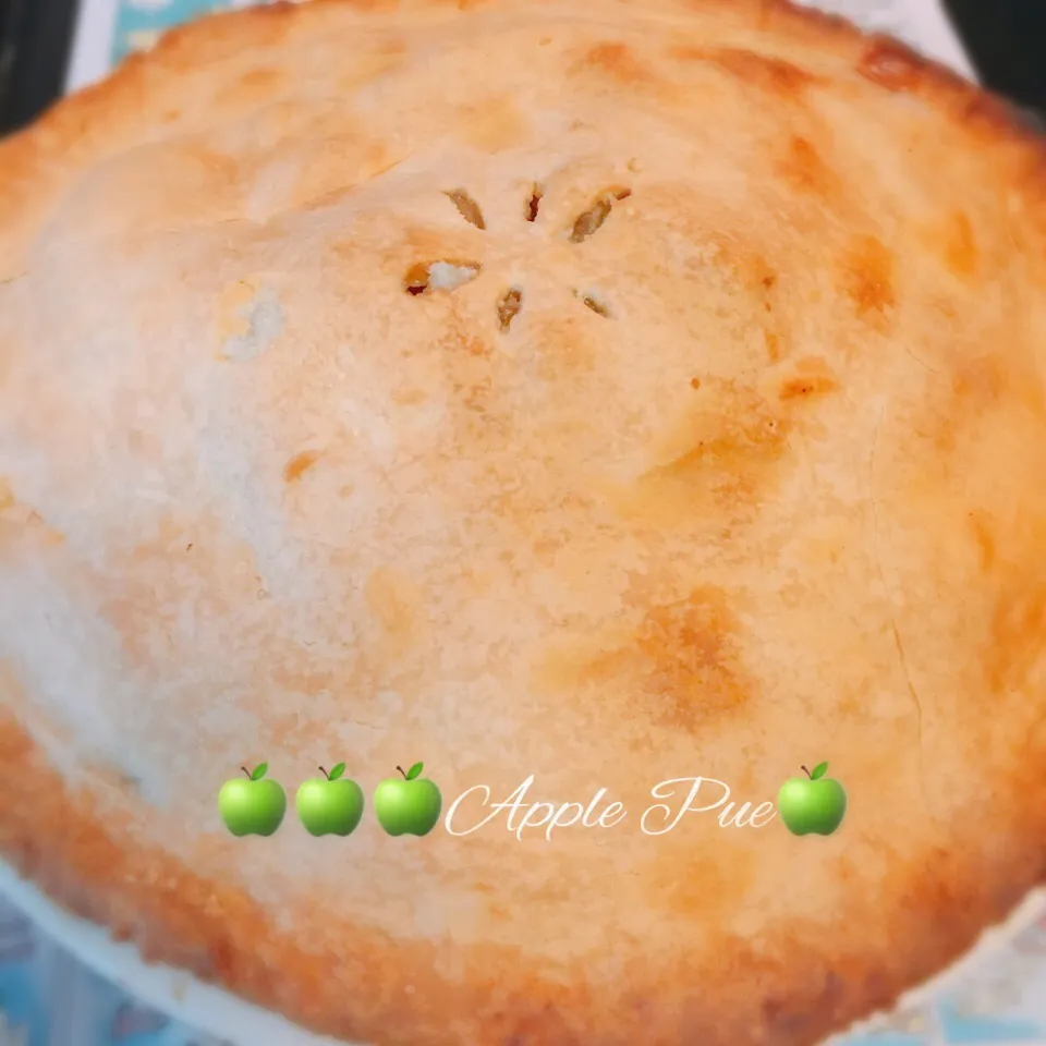 🍏Apple Pie
アップルパイ|🌸Emery Mさん